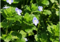 本周重点工作安排